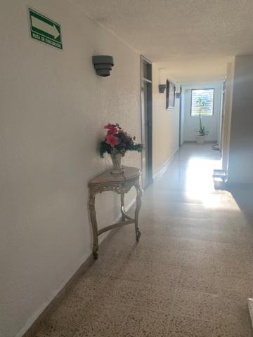 Hotel Polly Mexiko-Stadt